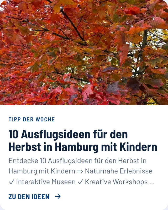 Hero-Karte mit großem Bild