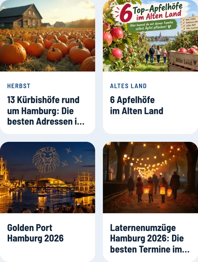 Vier Content-Karten im Raster